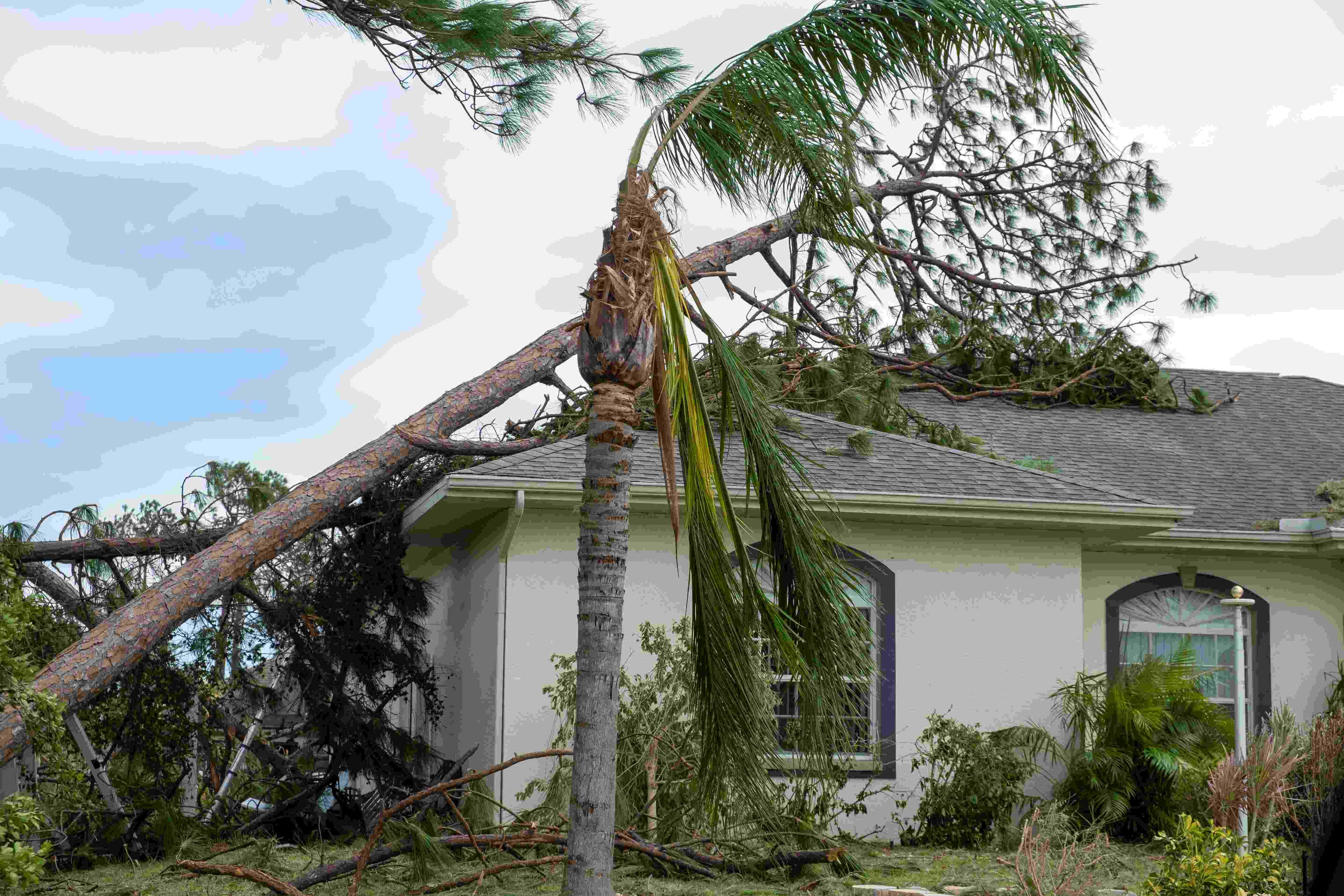 What Are The Home Maintenance Challenges for Roofs in The USA?