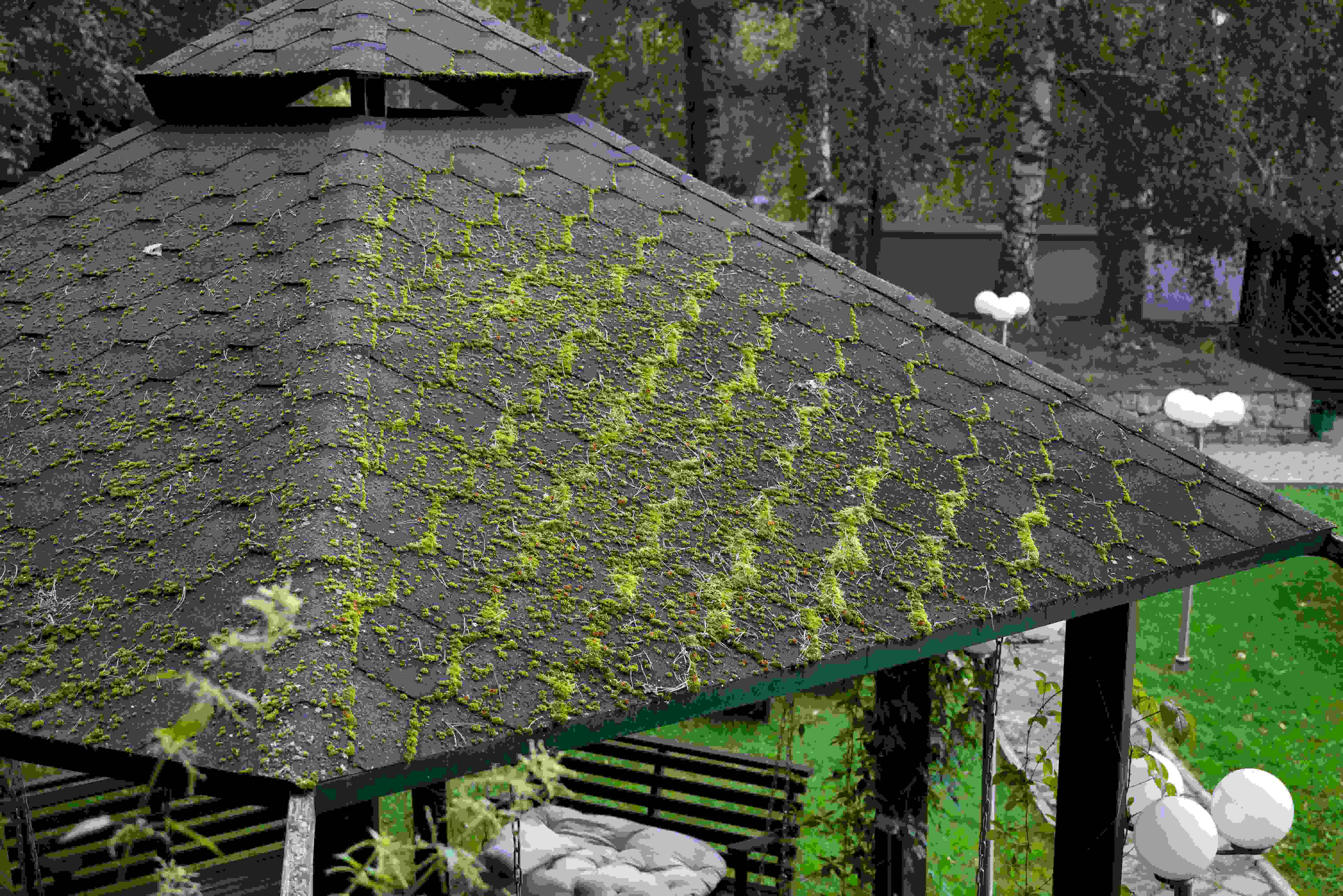 How do you safely remove moss from your roof?